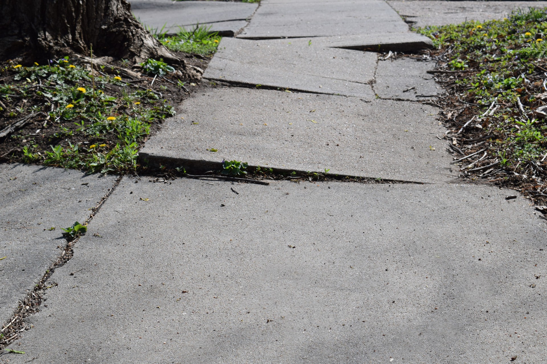 Sidewalk Trouble